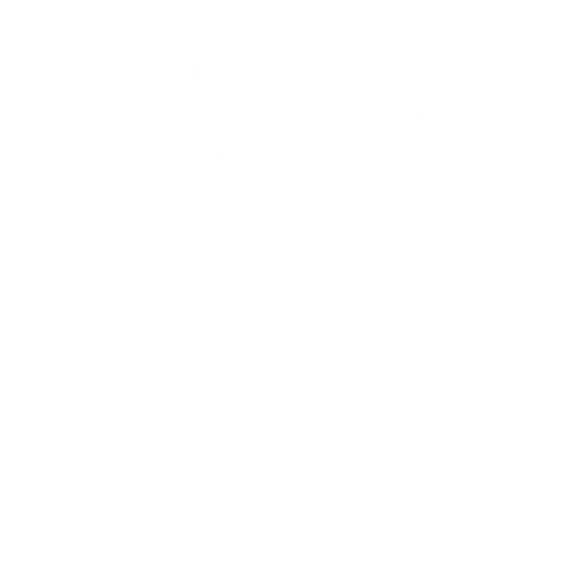 Reviews with 4.9 Rating on Google