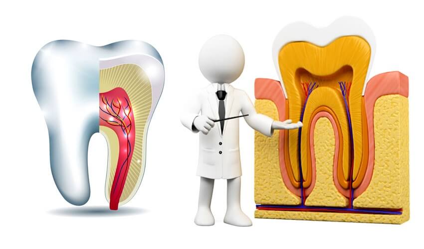 What is Root Canal treatment?